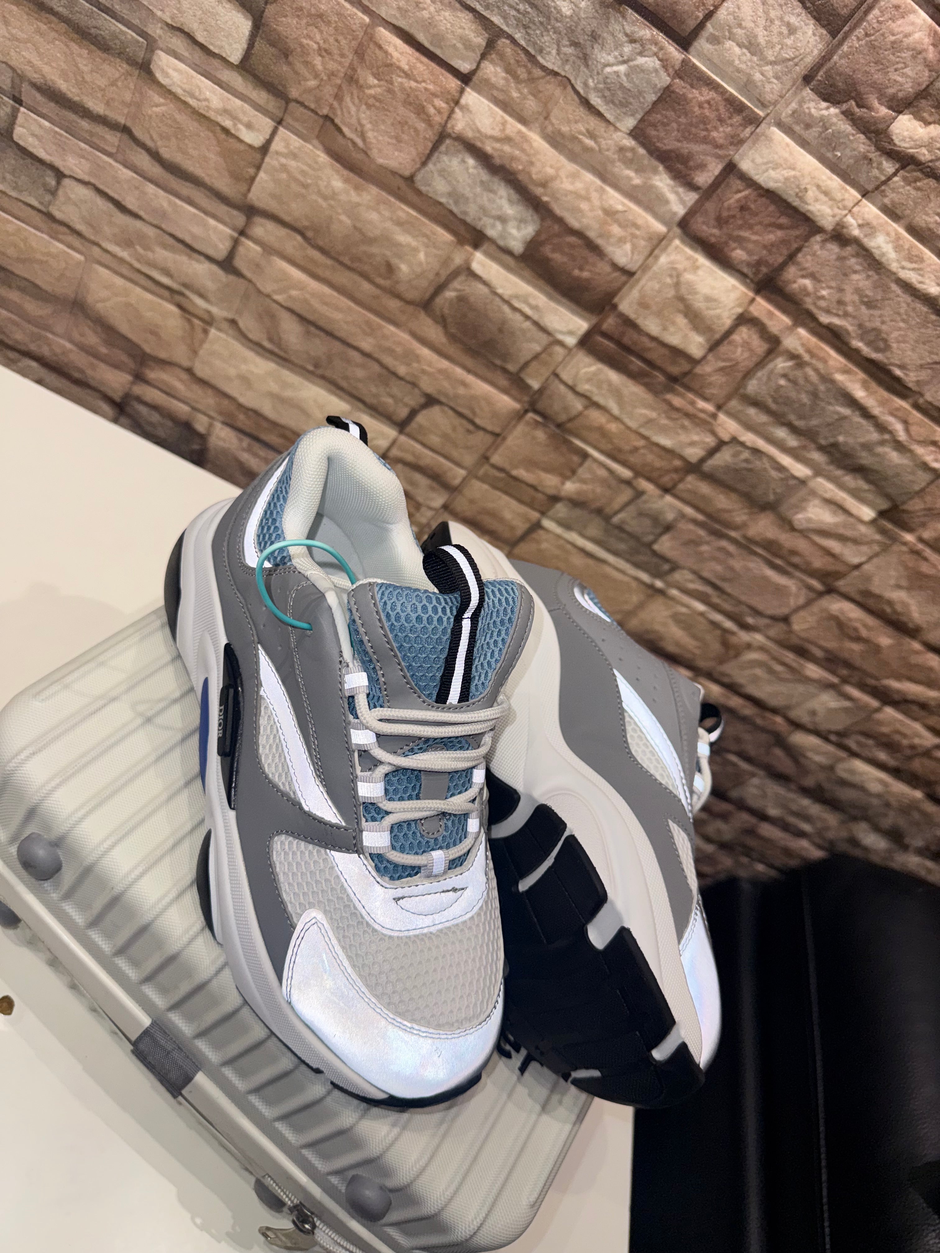 Dior b22 gray